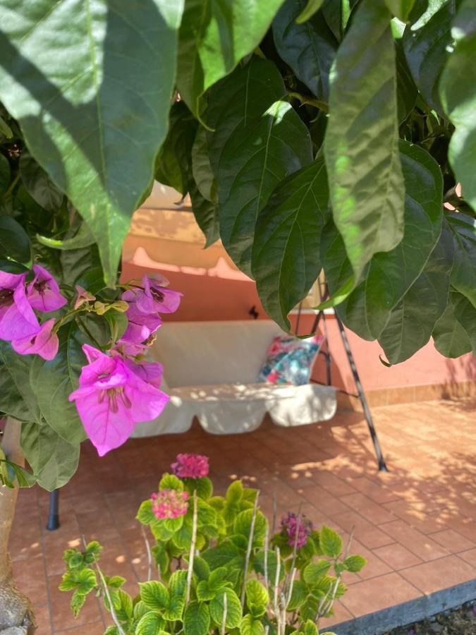 B&B Santa Lucia Silvi Paese Εξωτερικό φωτογραφία